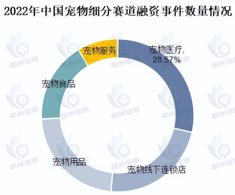宠物医疗行业调研:2024年中国宠物医疗市场规模达到了约 590 亿元