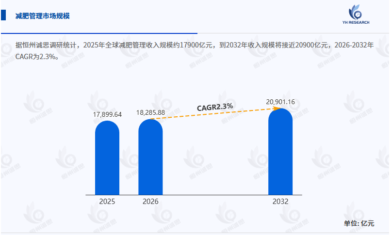 全球减肥管理市场前瞻:健康需求升级驱动下的稳健增长与细分赛道突围