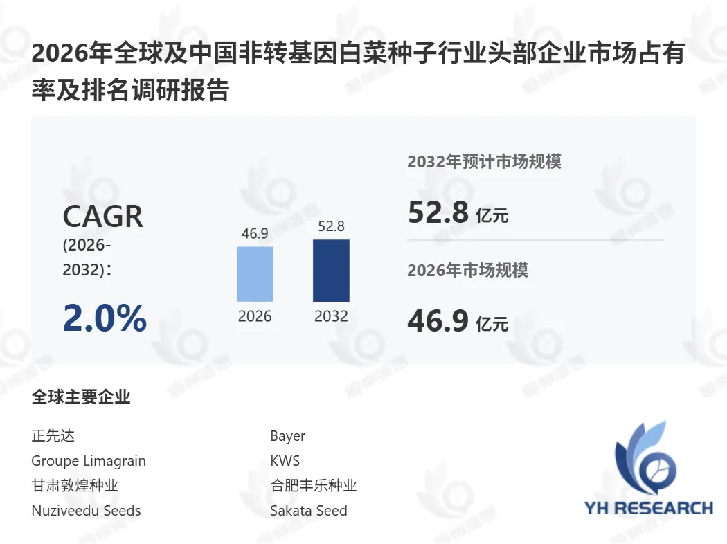 2026非转基因白菜种子产业:EDV制度下国内种业企业的市场增长路径
